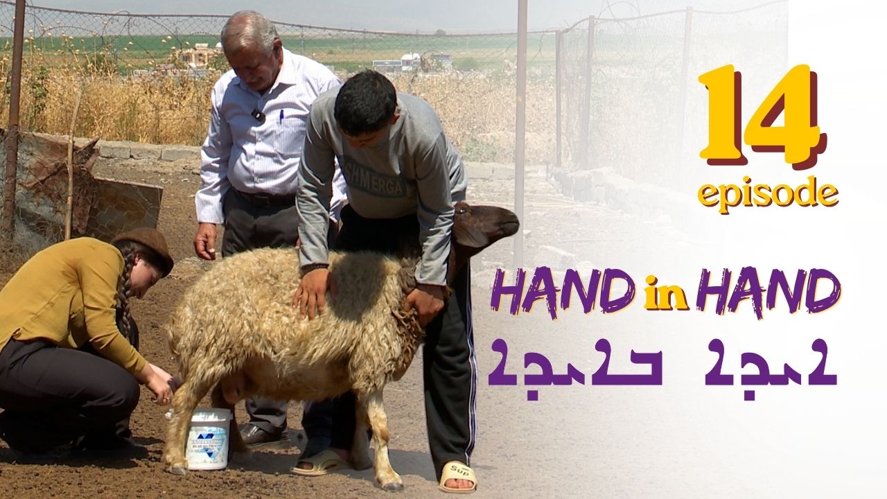 Hand in Hand إيد بإيد
